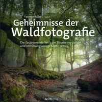 Abbildung von: Geheimnisse der Waldfotografie - dpunkt