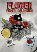 Cover: Flower Photo Colouring - Rookie Books