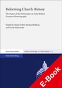 Cover: Reforming Church History - Franz Steiner Verlag