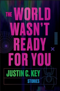Enlarge image Cover: The World Wasn't Ready for You - Collins