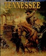 Cover: Civil War In Tennessee - Pelican Publishing