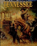Cover: Civil War In Tennessee - Pelican Publishing