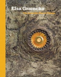 Enlarge image Cover: Elsa Gramcko: The Invisible Plot of Things - Sicardi | Ayers | Bacino