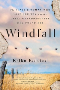 Enlarge image Cover: Windfall - Sourcebooks