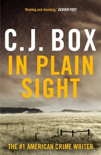 Abbildung von: In Plain Sight - Head of Zeus -- an Aries Book