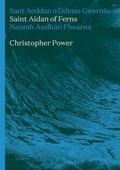 Cover: St Aidan of Ferns - Parthian Books
