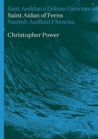Enlarge image Cover: St Aidan of Ferns - Parthian Books