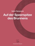 Cover: Auf der Speerspitze des Brunnens - Ketos