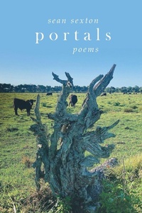 Enlarge image Cover: Portals - Press 53