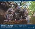 Cover: PALAZZI Starke Typen Posterkalender 2024, im Format 60 x 50 cm, Monatskalender zum aufh&auml;ngen, Kalender mit Bilder majest&auml;tischer Tiere - Palazzi
