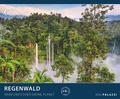 Cover: Regenwald 2024 - Bild-Kalender - Poster-Kalender - 60x50 - Palazzi