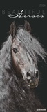 Bild: Beautiful Horses 2024 - Foto-Kalender - Wand-Kalender - 30x70 - Neumann