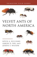 Bild: Velvet Ants of North America - Princeton University Press