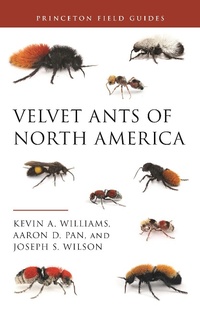 Abbildung von: Velvet Ants of North America - Princeton University Press
