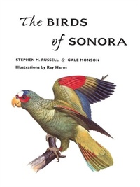 Abbildung von: Birds of Sonora - University of Arizona Press