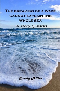 Abbildung von: The breaking of a wave cannot explain the whole sea - Liakem Lab Ltd