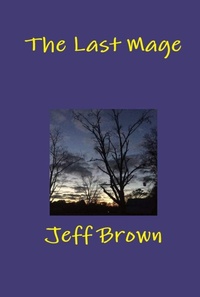 Enlarge image Cover: The Last Mage - Jeff Brown