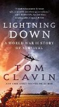 Enlarge image Cover: Lightning Down - St Martin's Press