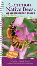 Cover: Common Native Bees of the Western United States - Adventure Publications, Incorporated
