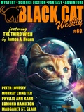 Cover: Black Cat Weekly #69 - Wildside Press