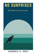 Cover: No Surprises - 1631 Press, LLC