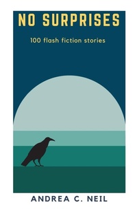 Enlarge image Cover: No Surprises - 1631 Press, LLC