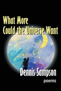 Cover: What More Could the Universe Want - Homestead Lighthouse Press