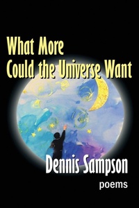 Enlarge image Cover: What More Could the Universe Want - Homestead Lighthouse Press