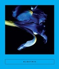 Cover: Elektrik - Two Lines Press