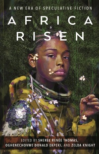 Enlarge image Cover: Africa Risen - Tor Books