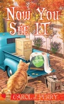 Cover: Now You See It - Kensington Publishing