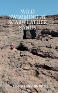 Cover: Wild Swimming at Scarweather Sands - Eyewear Publishing