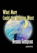 Cover: What More Could the Universe Want - Homestead Lighthouse Press