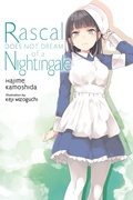 Cover: Rascal Does Not Dream of a Nightingale (light novel) - Yen Press