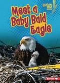 Cover: Meet a Baby Bald Eagle - Lerner Publishing Group