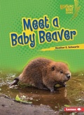 Cover: Meet a Baby Beaver - Lerner Publishing Group
