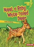 Cover: Meet a Baby White-Tailed Deer - Lerner Publishing Group