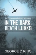 Cover: An Okaloosa Island Mystery - LitPrime Solutions