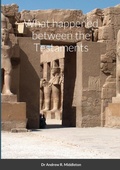 Cover: What happened between the Testaments - Lulu.com