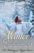 Cover: Winter Enchantment - Iridescent Words