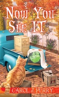 Cover: Now You See It - Kensington Cozies