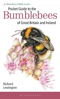 Abbildung von: Pocket Guide to the Bumblebees of Great Britain and Ireland - Bloomsbury Wildlife