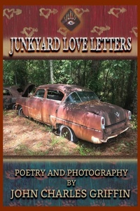 Abbildung von: Junkyard Love Letters - BookLogix