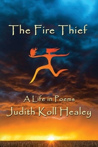 Enlarge image Cover: The Fire Thief - Calumet Editions