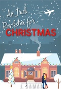 Cover: An Irish Rockstar for Christmas - J. Saman