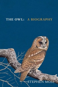 Enlarge image Cover: The Owl - Square Peg