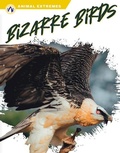 Cover: Bizarre Birds - Apex