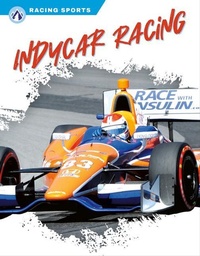 Enlarge image Cover: IndyCar Racing - Apex