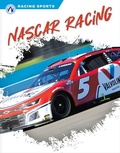 Cover: NASCAR Racing - Apex