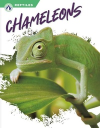 Enlarge image Cover: Chameleons - Apex